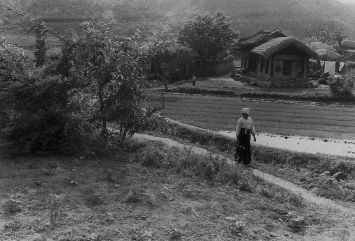 안동(1968)